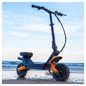 Cheap Industrial Grade Fiido Beast Electric Scooter 2000W 2 Seat Motorcycle